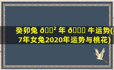 癸卯兔 🌲 年 🍀 牛运势(87年女兔2020年运势与桃花)